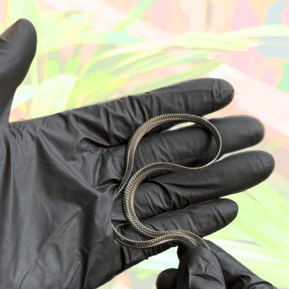 Premium Bold Sleek Stainless Steel Chains For Men/Women